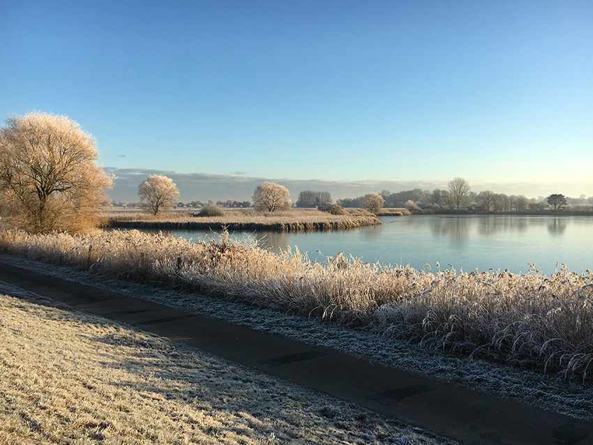 Beauceron Mutter und Sohn im Nebel auf dem Weserdeich.