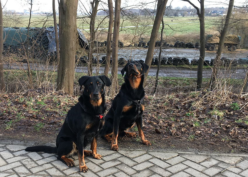 Tipo schau einem Flugzeug nach.