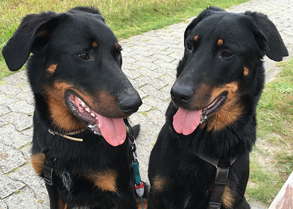 Mutter und Sohn sind sich optisch sehr ähnlich.