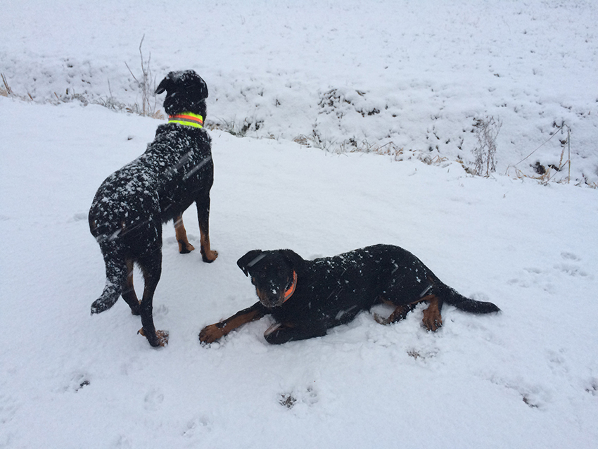 Beaucis im Schneeschauer.