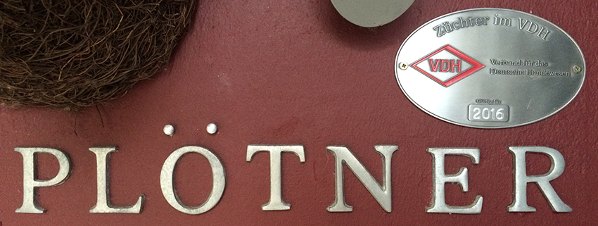 Mitglied im VDH 2016.