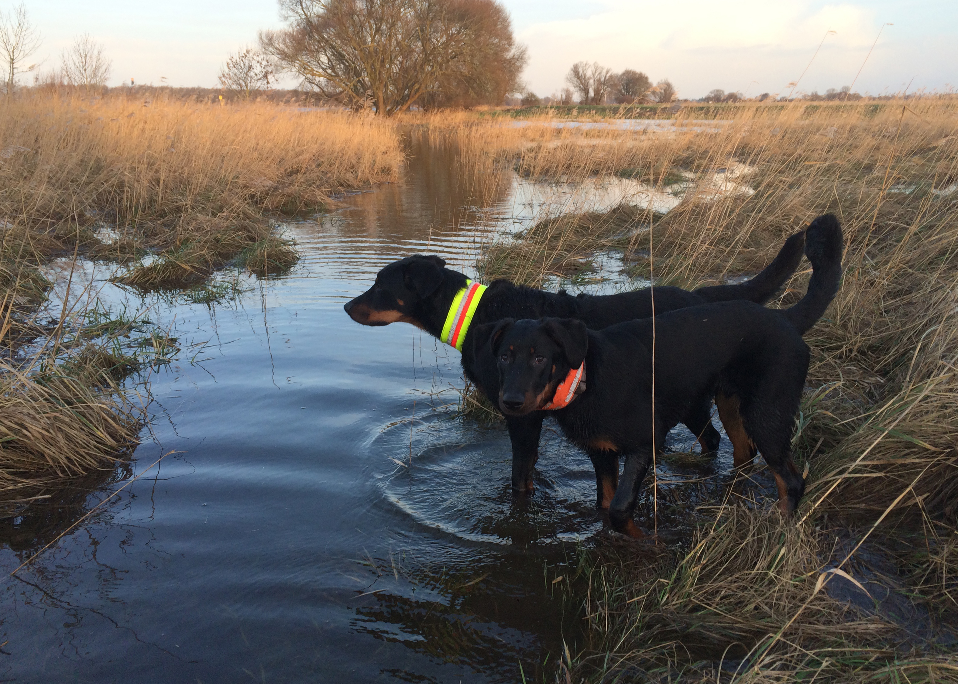 Landunter zweiten Tag.