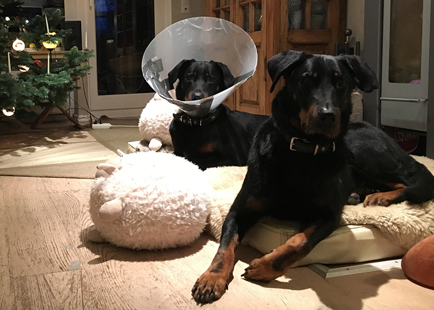 Weihnachten mit Beaucerons