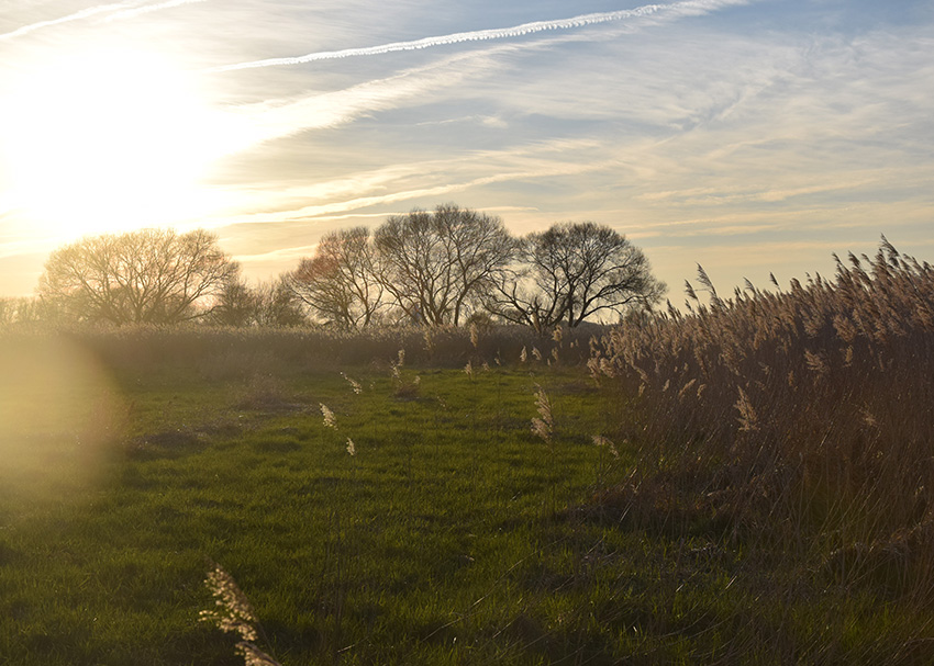 Schouml;ne Landschaft