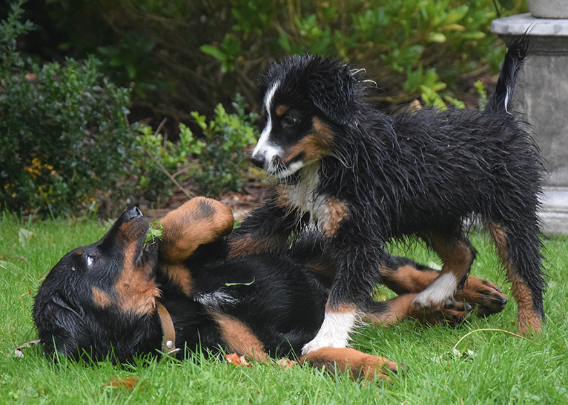 Schelte von der Mutter.