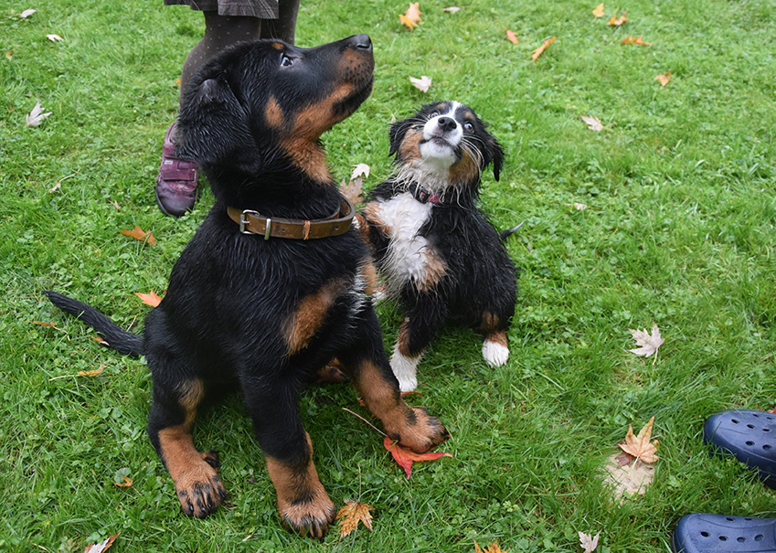 Erster Badeversuch in der Nordsee.