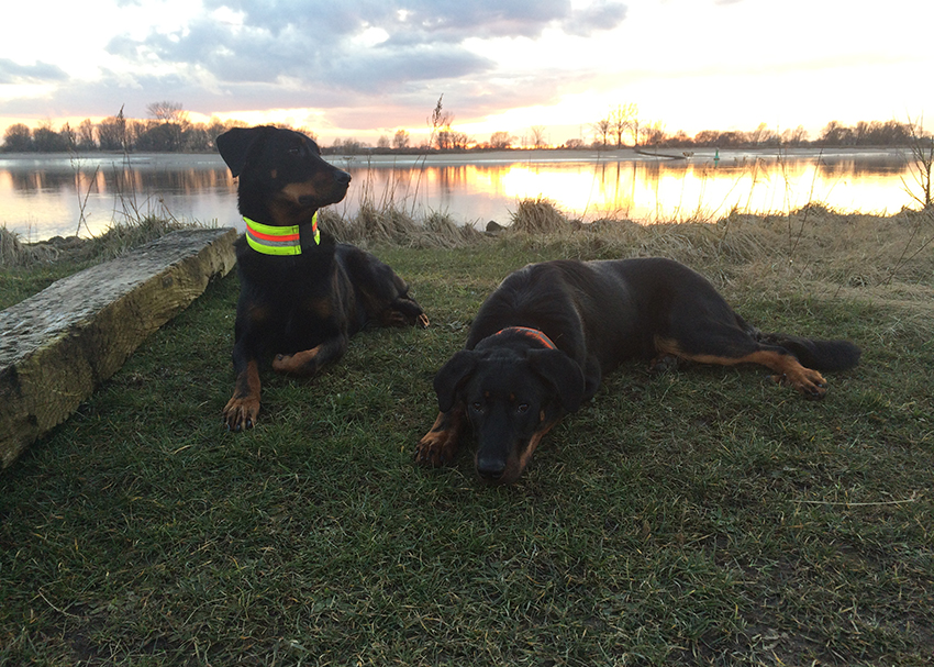 Tipo wird jetzt sieben Monate alt hier zusammen mit seiner Mutter.