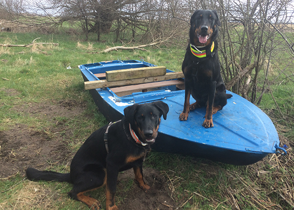 Boot wurde von Beauceron geentert.