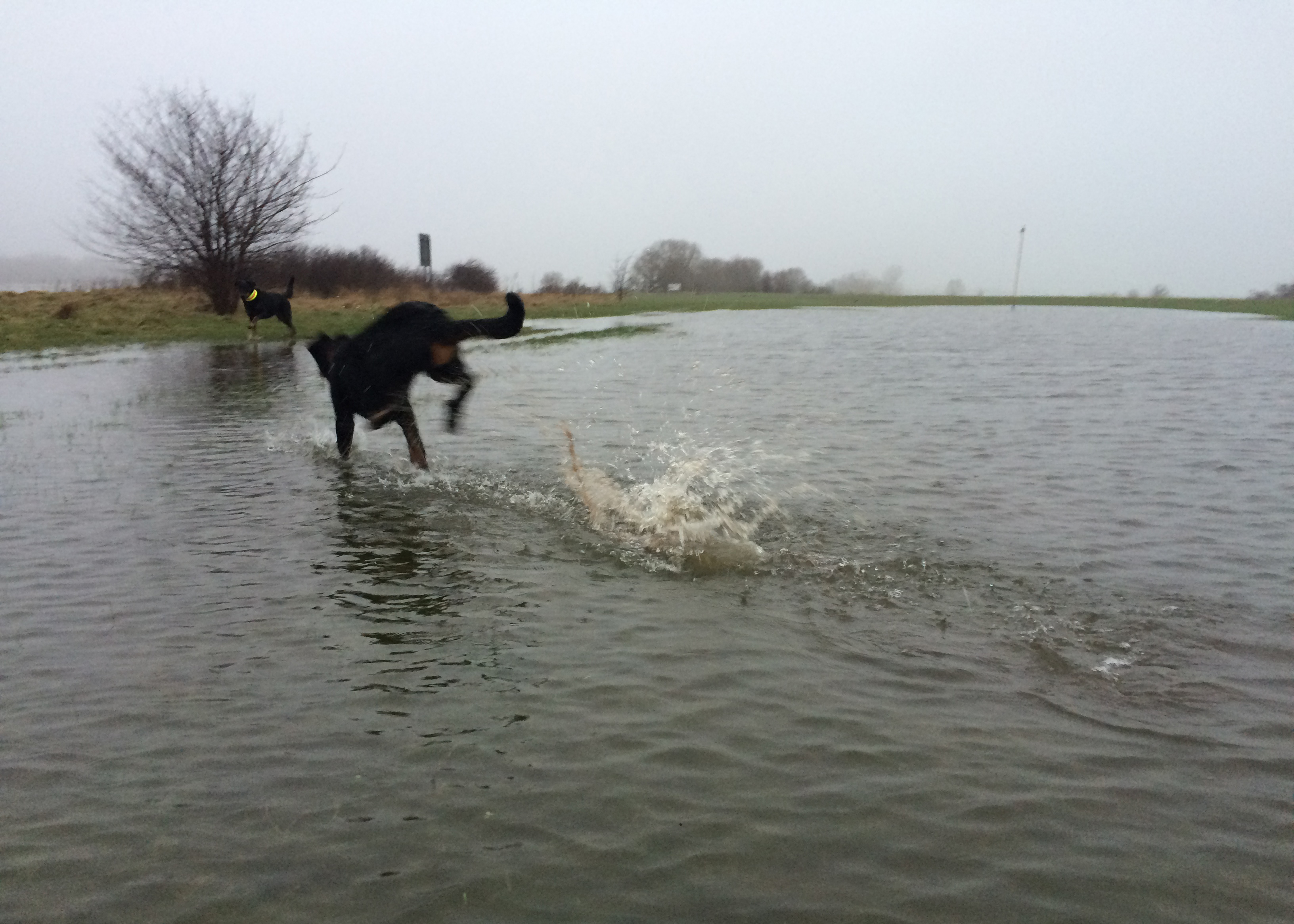 Laufen durch Hochwassergebiet nach Sturmflut.