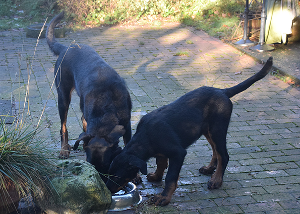 Gemeinsames Trinken.