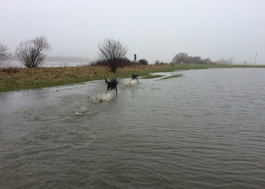 Durchs Wasser rasen.