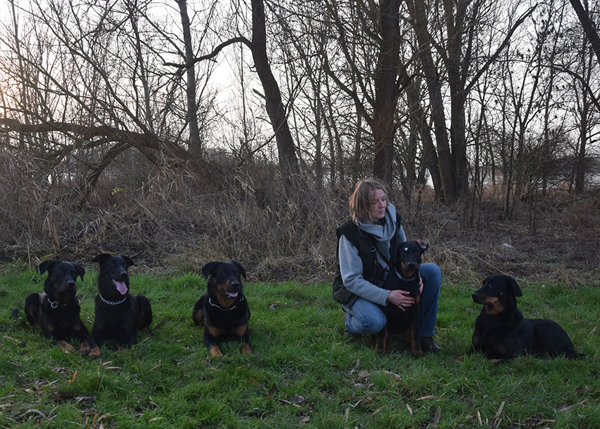Die 5 Beauceron.