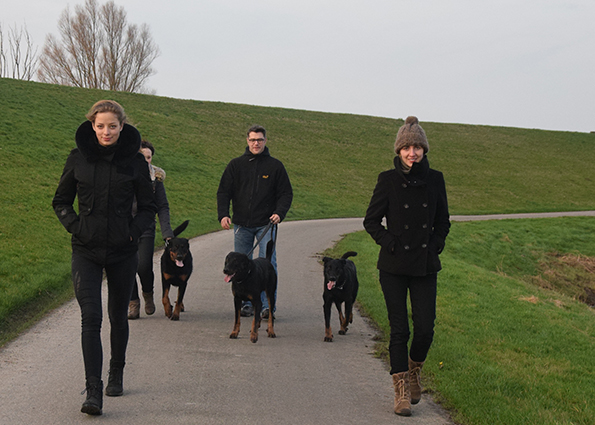 Mit den Beauceron am Deich.