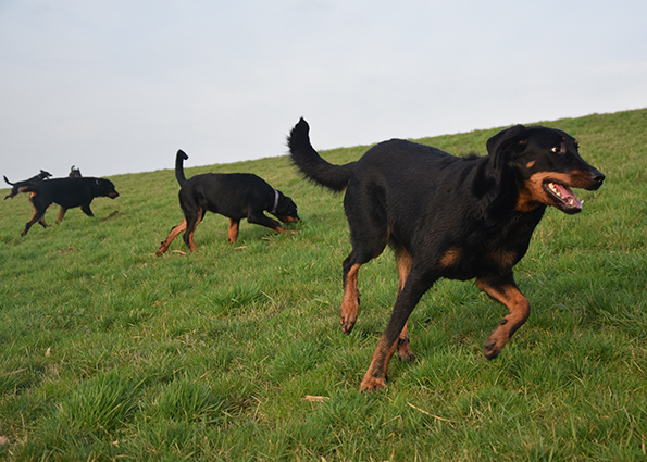 Cleo ist mittendrin.