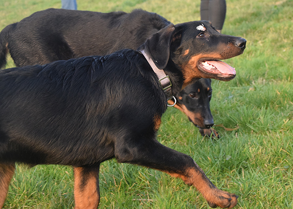 Tipo ist mittendrin.