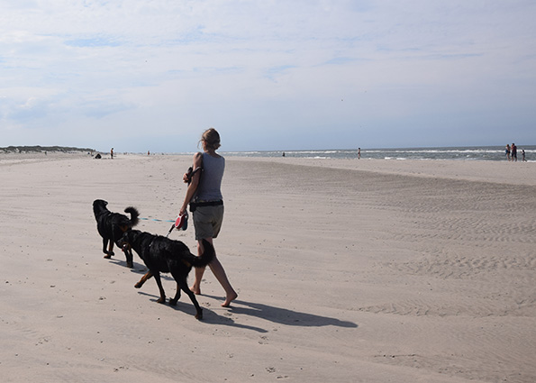 Angeleint am Strand spazieren.
