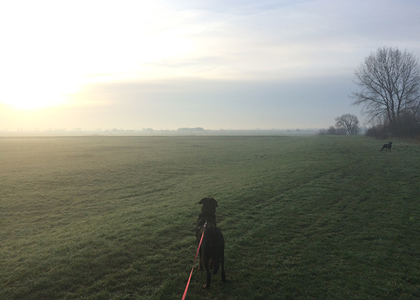 Noch ist dies einen Landschaft ohne Windkraftanlagen - das hat bald seltenheits Wert.