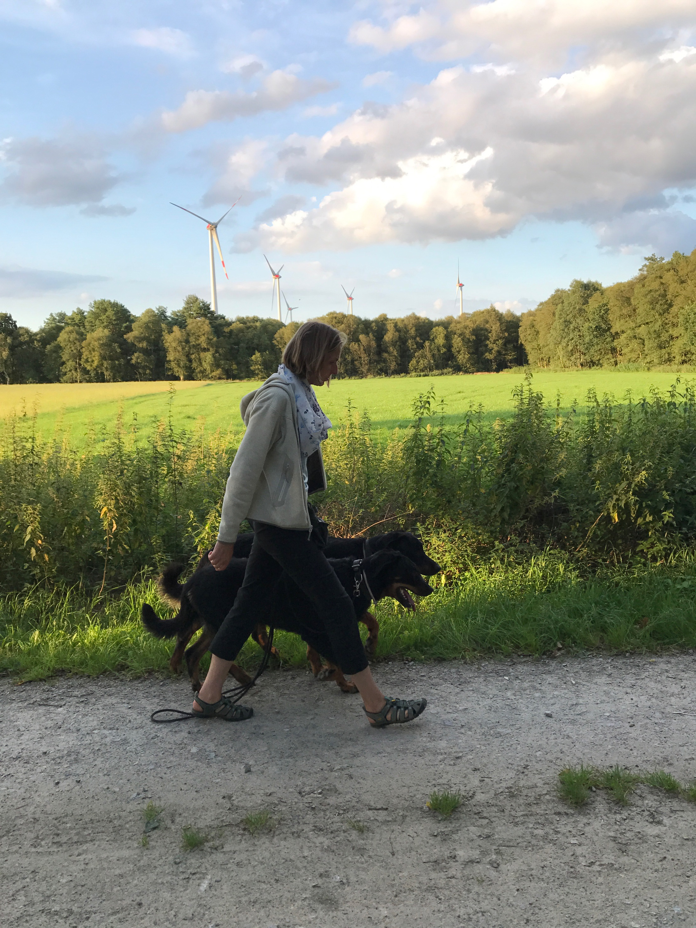 Fussarbeit mit zwei Beauceron