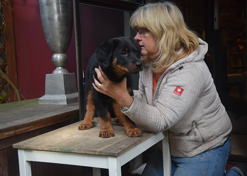 Inspektion von Tipo.