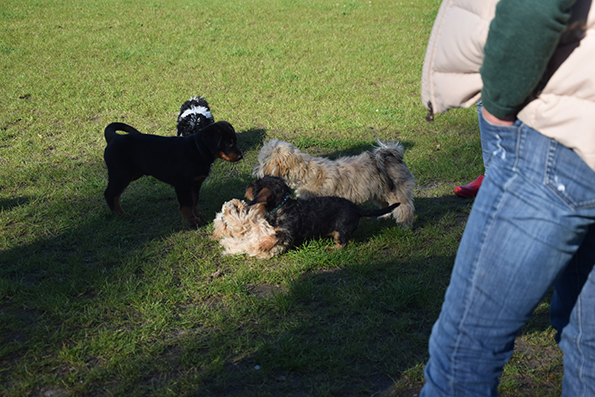 Alle Teilnehmer der Gruppe.