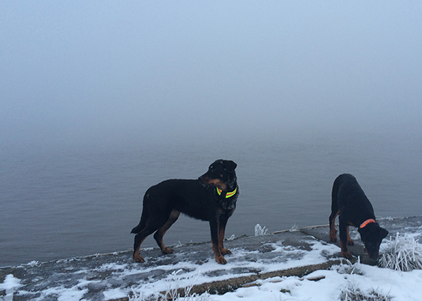 Winter an der Weser mit Beaucerons.
