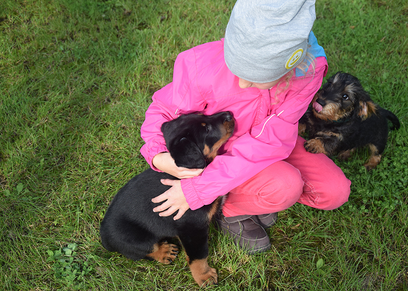 Aller erste Begegnung mit anderen Welpen.