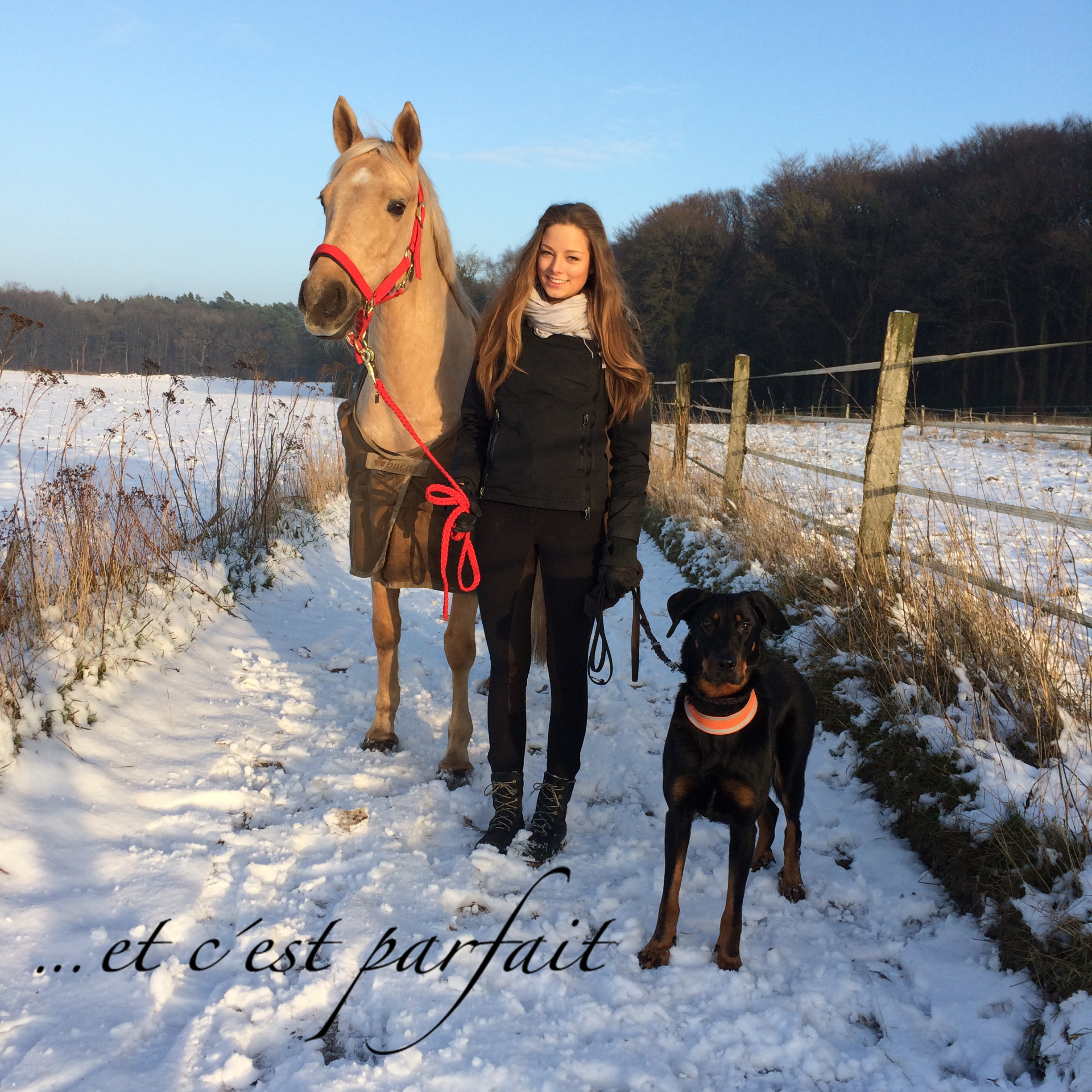 Holsteiner Kleinpferd Daria N mit einer meiner Töchter und Cleo