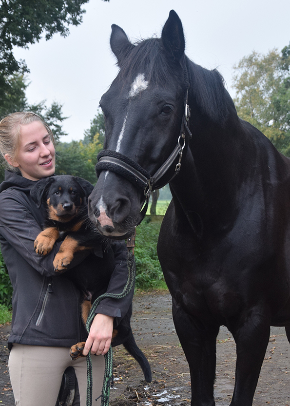 Jule mit Tipo und Fervent Fellow.