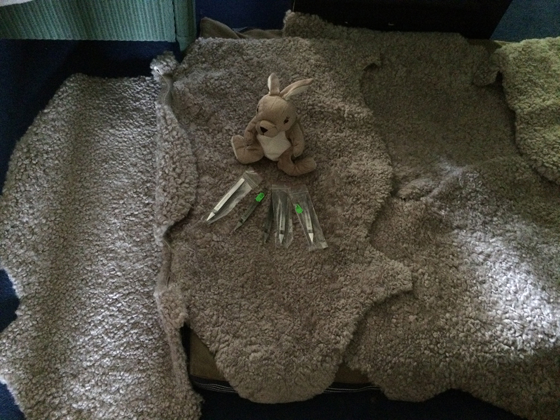 Lauter Lammfelle die jeder Welpe von Cleo mit Muttergeruch mit ins neue Leben genommen hätte. Und die besten Zeckenzangen die es dibt.