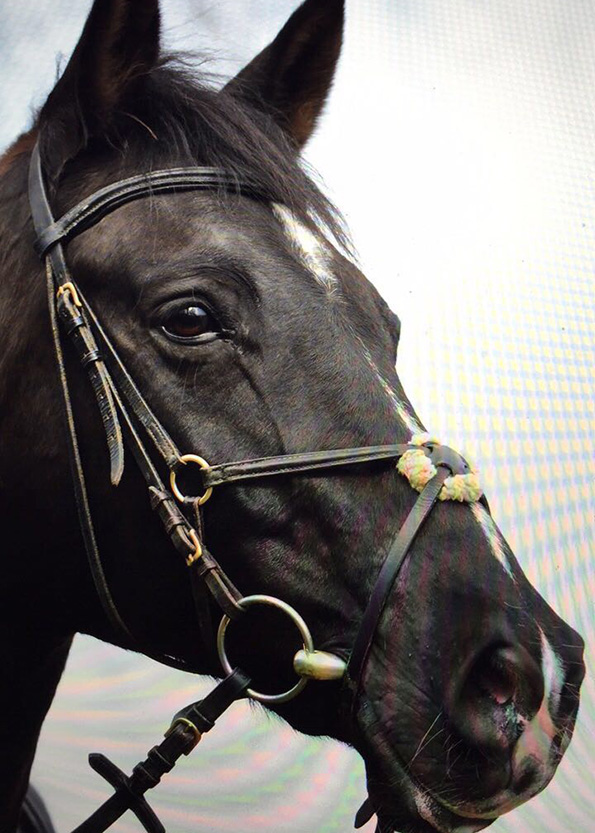 Fervent Fellow, ein letztes Prtrait