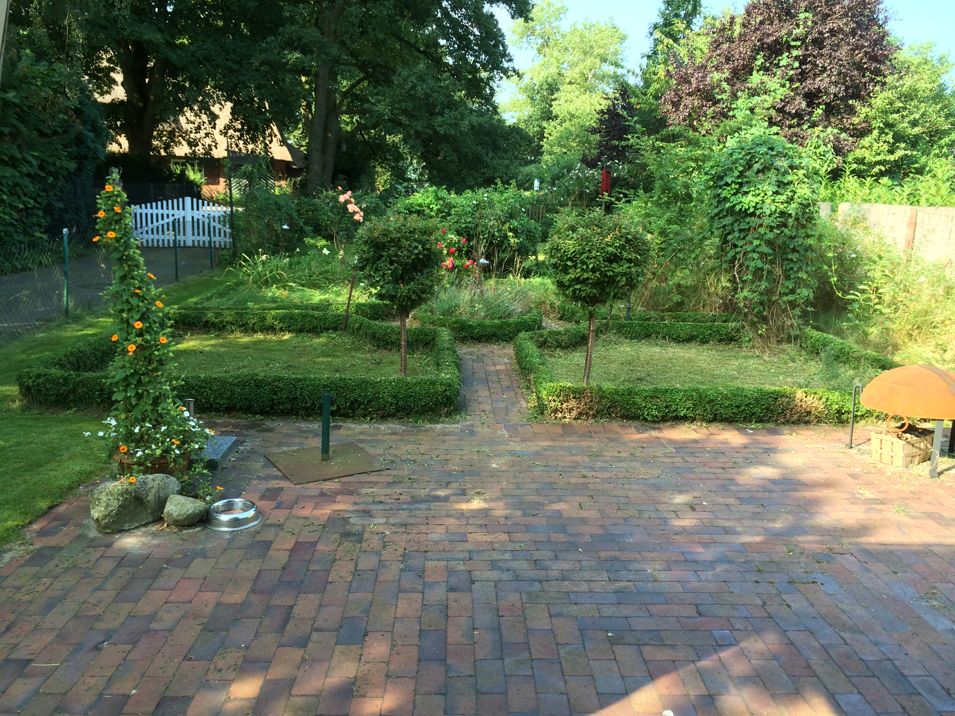 Teil unseres Gartens