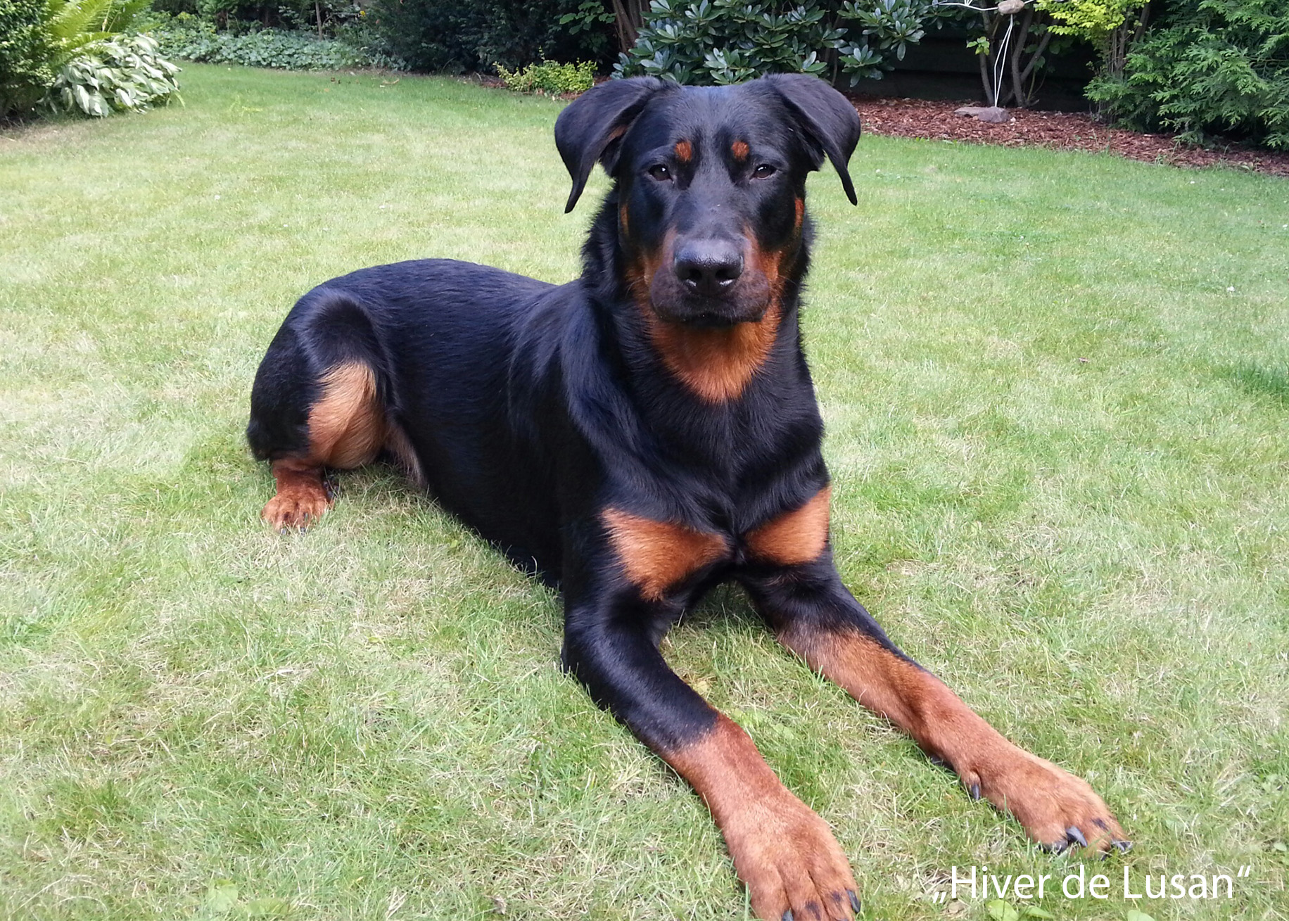 Bild von Hiver de Lusan