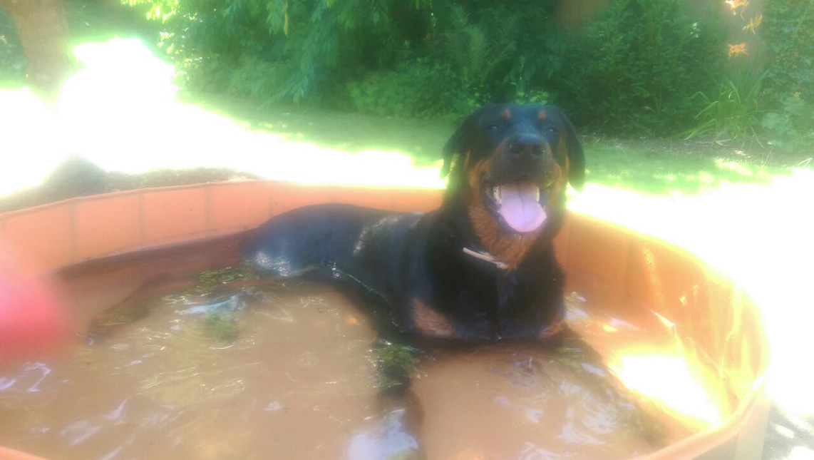 Hiver de Lusan bei 38 Grad im Schatten