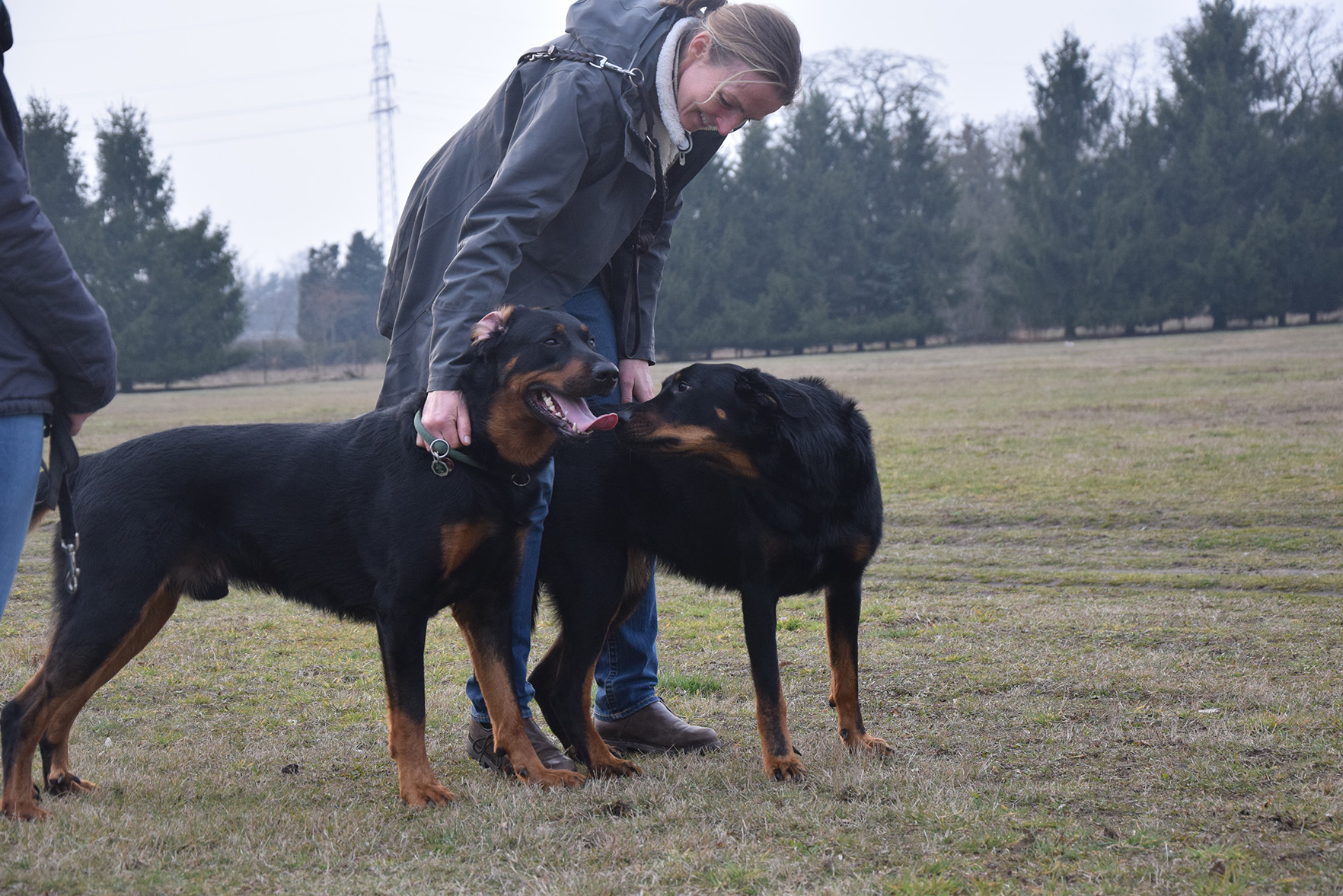 Erster Besuch bei Hiver de Lusan