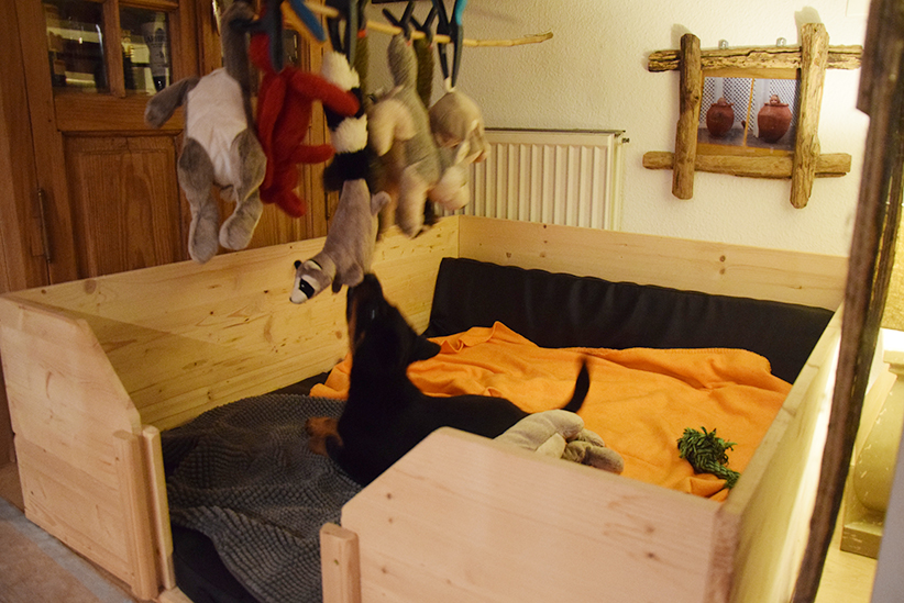 Stofftiere baumeln über Tipo.