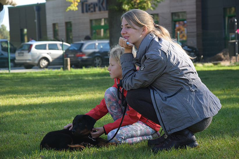 Wir sind wieder in der Welpenstunde.
