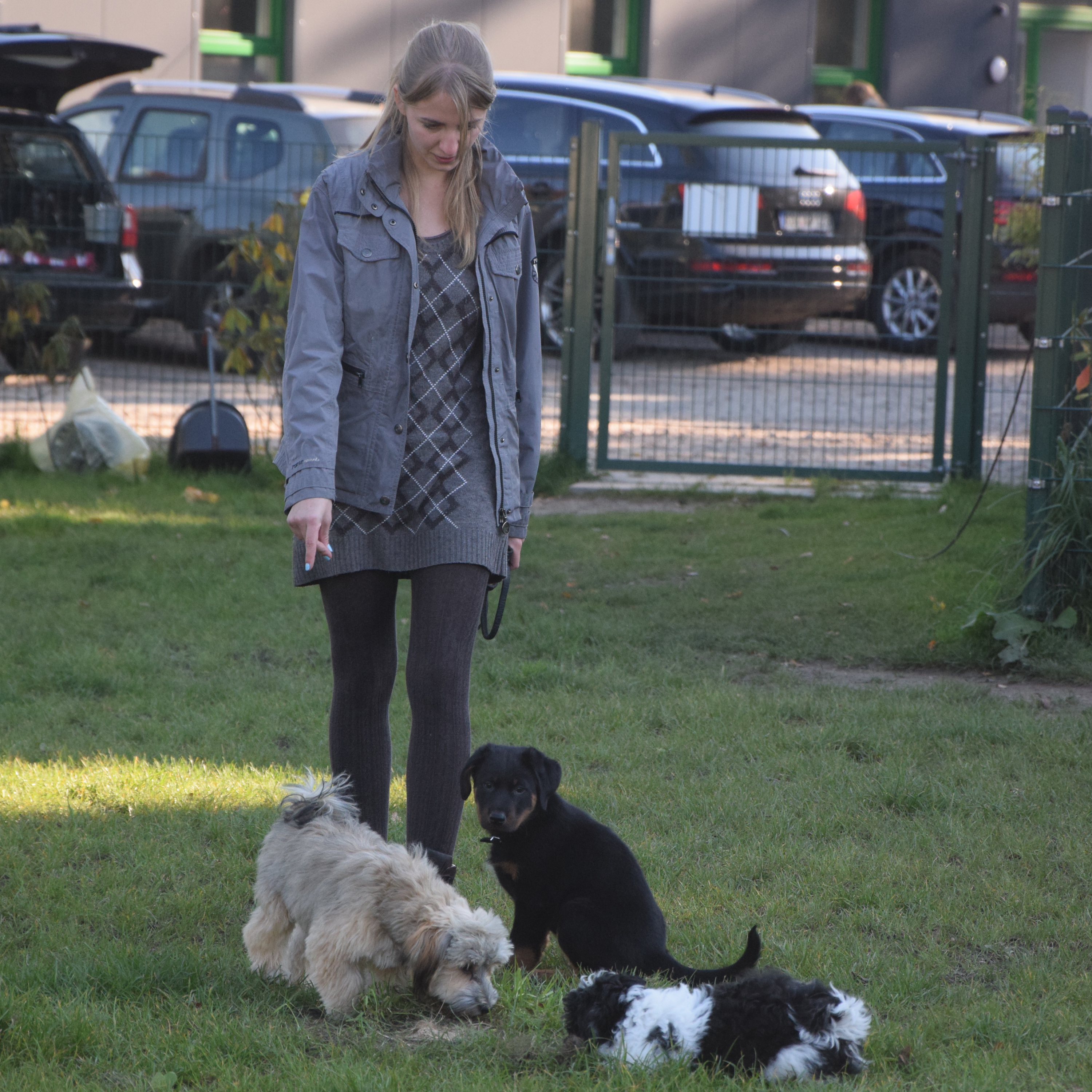 Jule mit einigen Welpen.