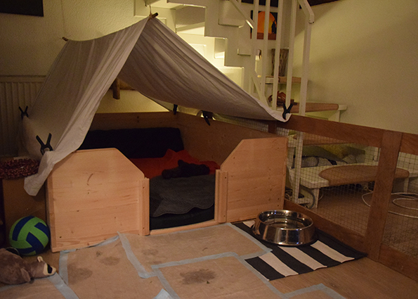 zeltlager für die Hunde.