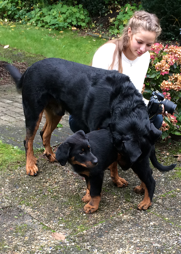 Lara mit Hiver und Tipo.