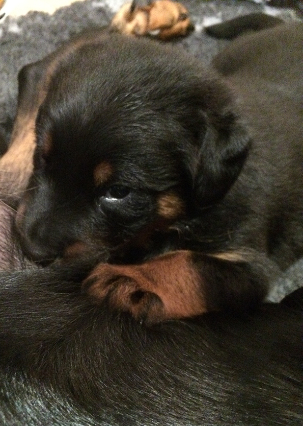 Perfekt zum Schlafen.