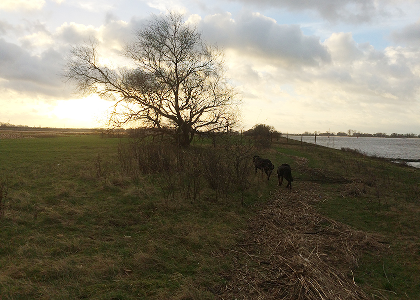 Morgendlicher Spaziergang.