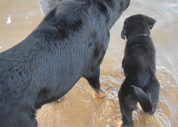 Ein wenig Wasserkontakt reicht.