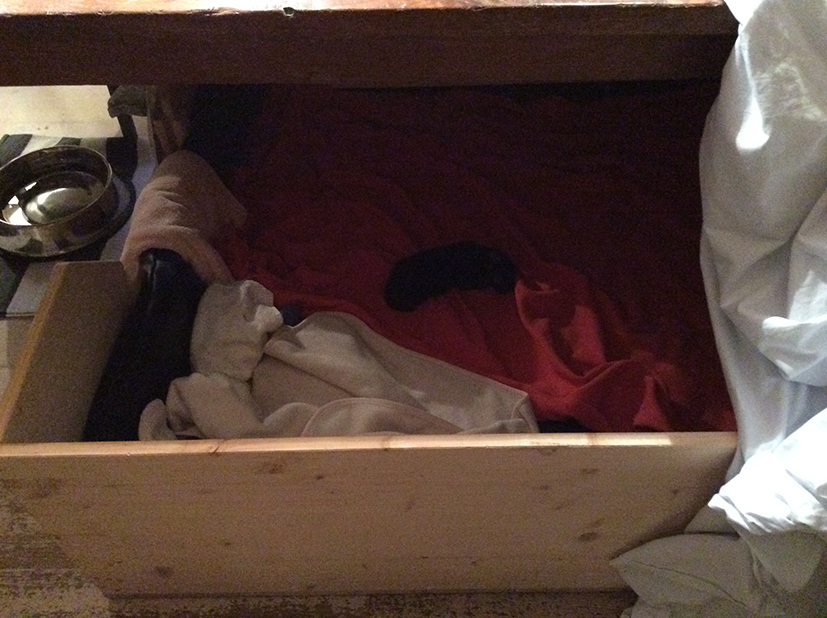 Ein einziger Welpe in der groβen Wurfkiste...