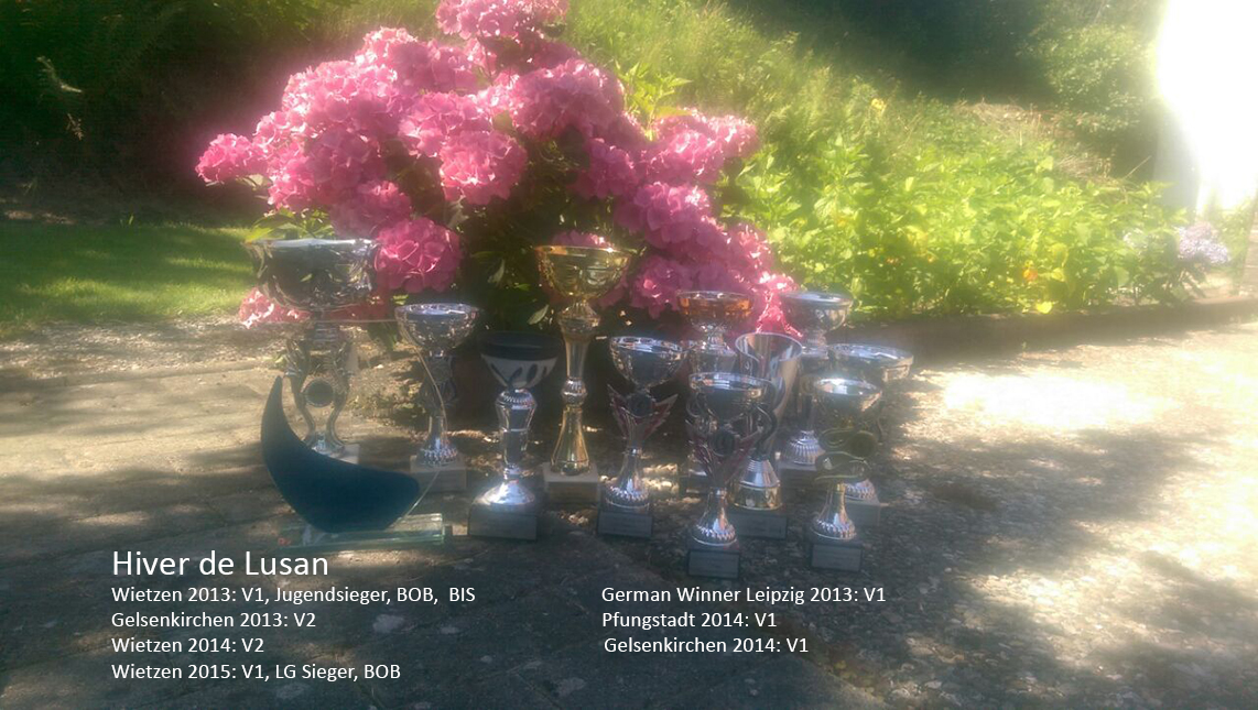 Hiver de Lusan ist sehr erfolgreich auf Ausstellungen