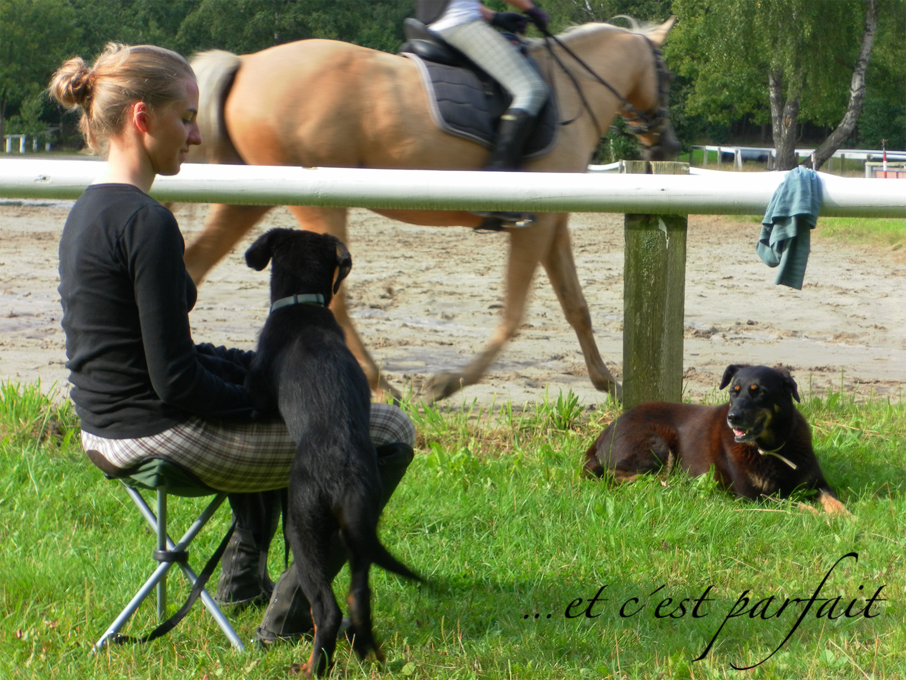 Cleo noch klein und Princess