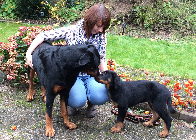 Auch Rifka hat der kleine Kerl verzaubert.