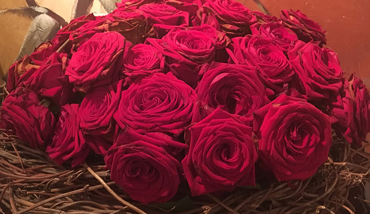 getrocknete rote Rosen.