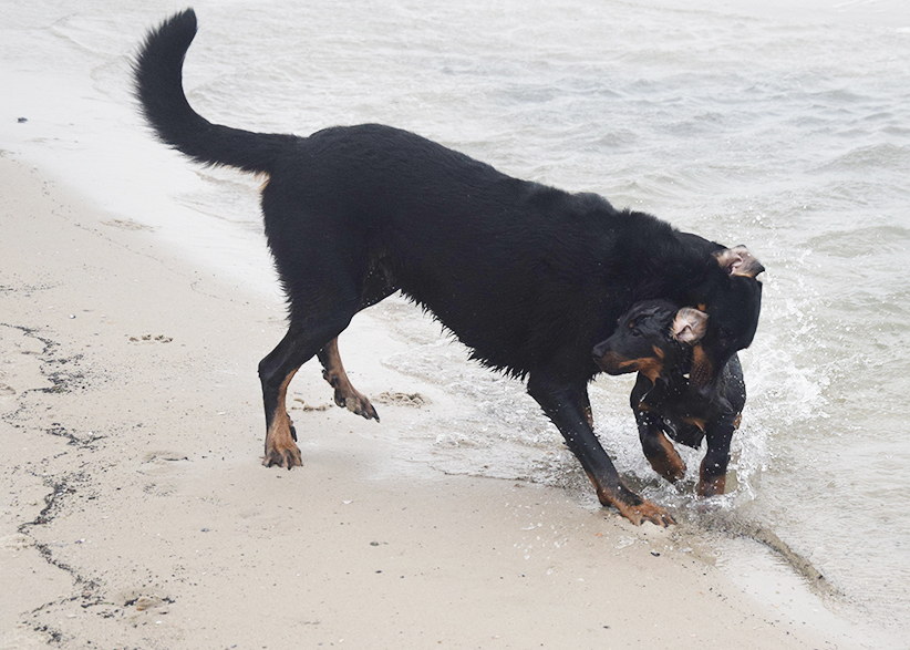 Schelte von der Mutter.