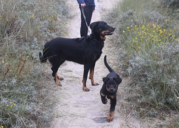 Tipo freut sich über unseren Ausflug.