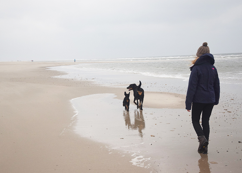 Tipo und Cleo am Strand.